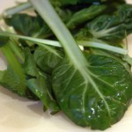tat soi leaves