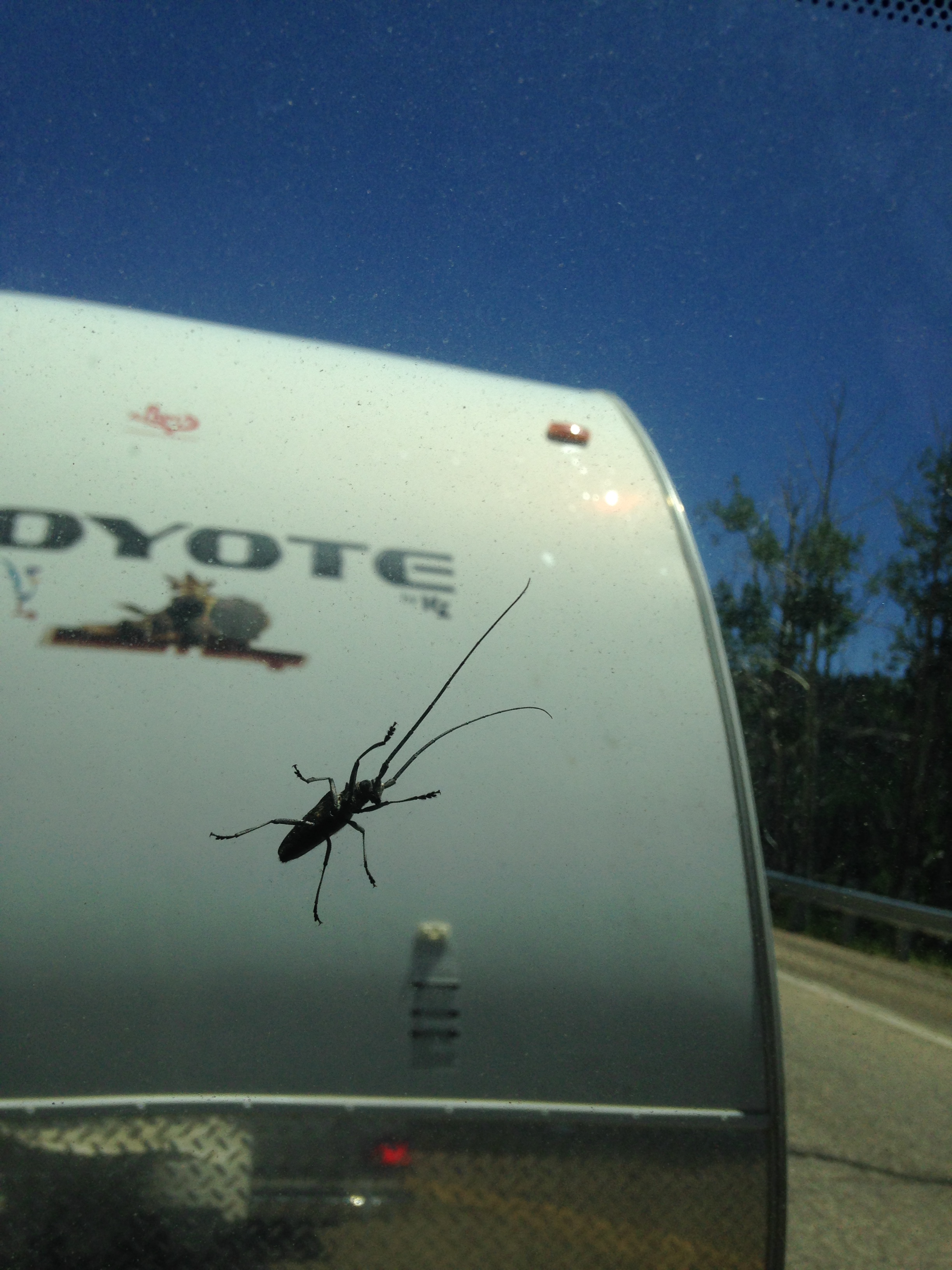 Creepy hitchhiker