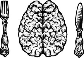 My Daily Brain Food Addiction Theatrical Intelligence