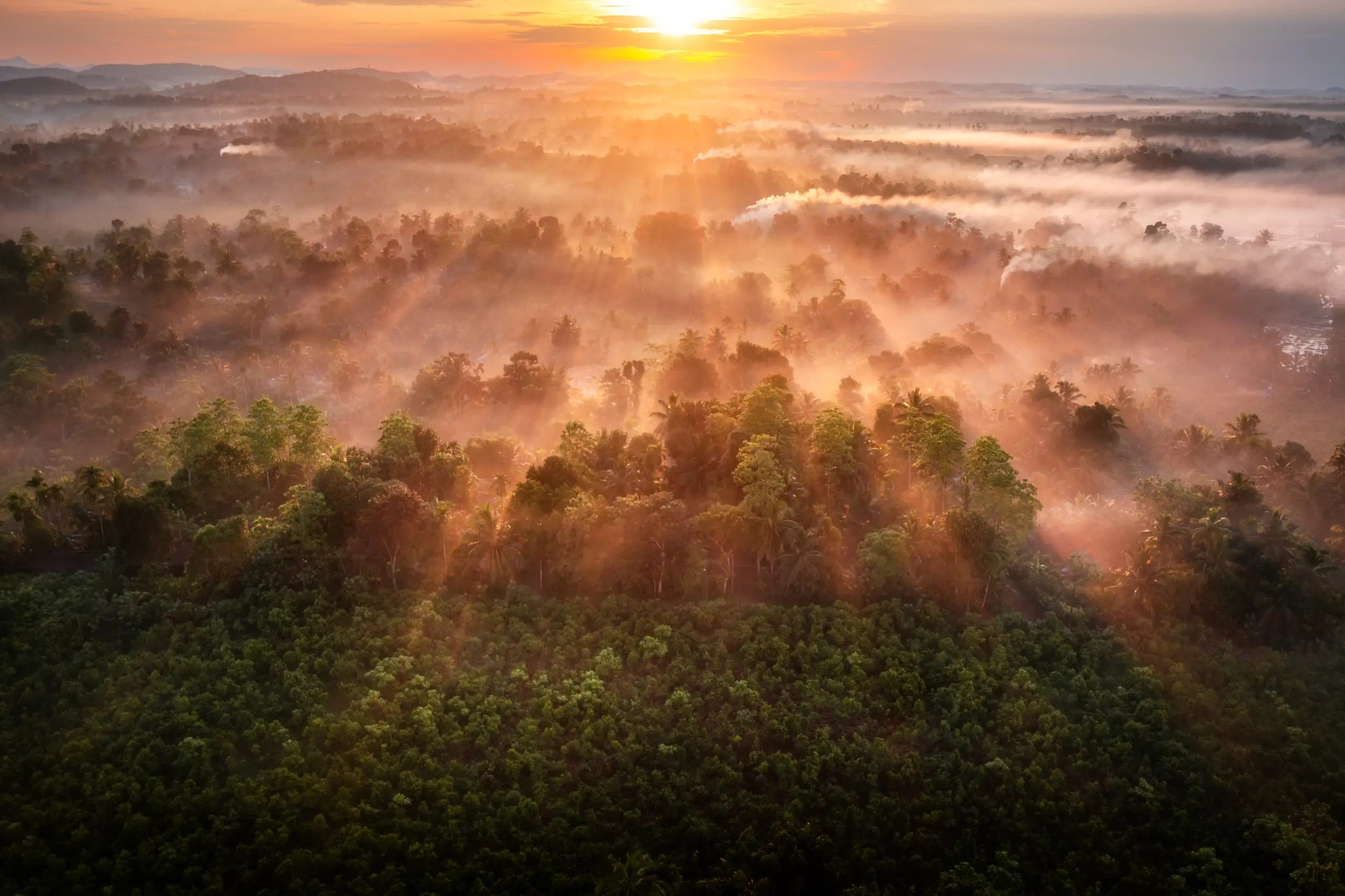 Sri Lanka Sunrise