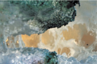 第三世多杰羌佛說世法哲言八