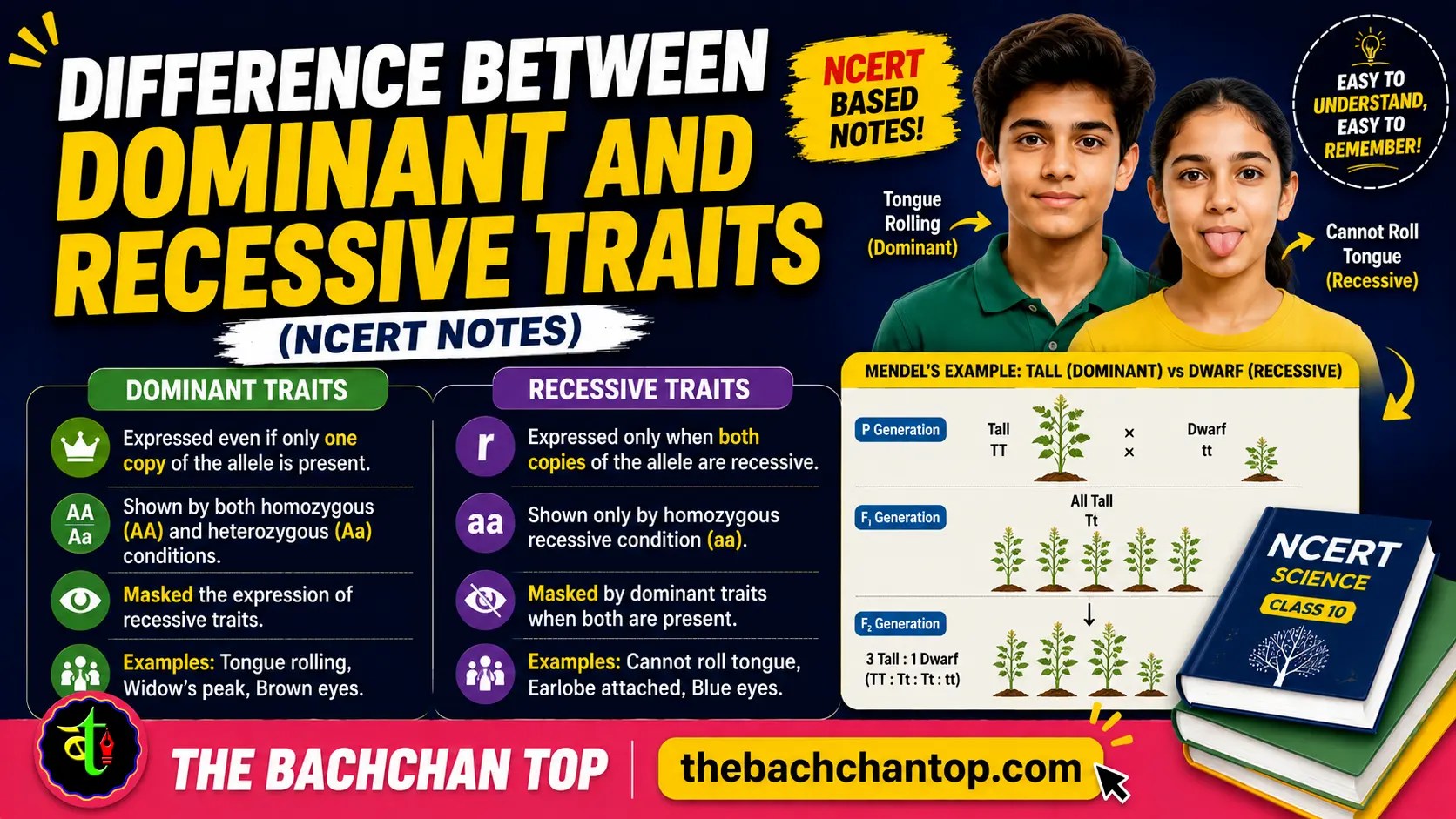 Difference Between Dominant and Recessive Traits (NCERT Notes)