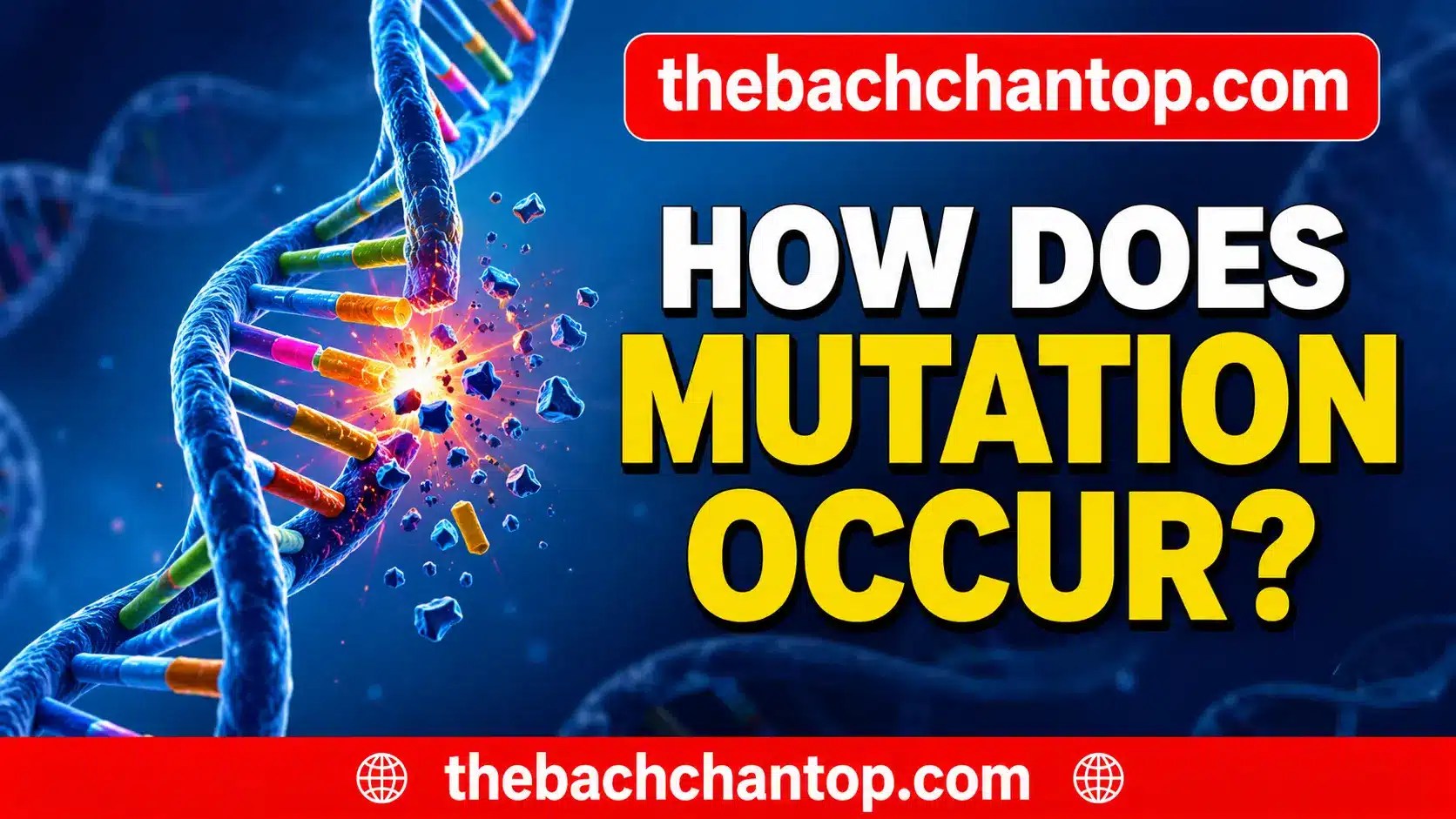 What is Mutation? Definition, Types, Causes, Examples and Importance