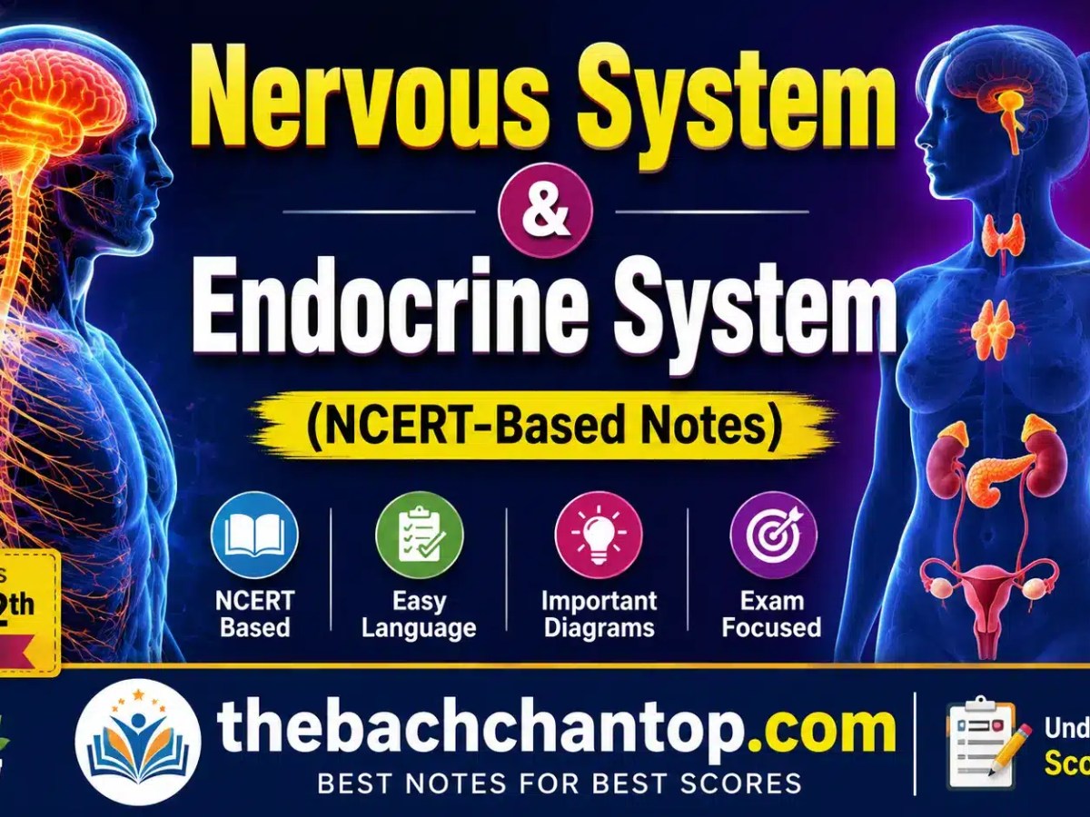 Difference Between Nervous System and Endocrine System (NCERT-Based Notes)