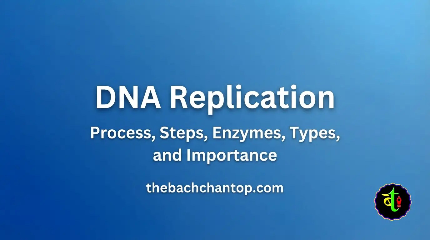 DNA Replication: Complete Guide to Process, Steps, Enzymes, Types, and Importance