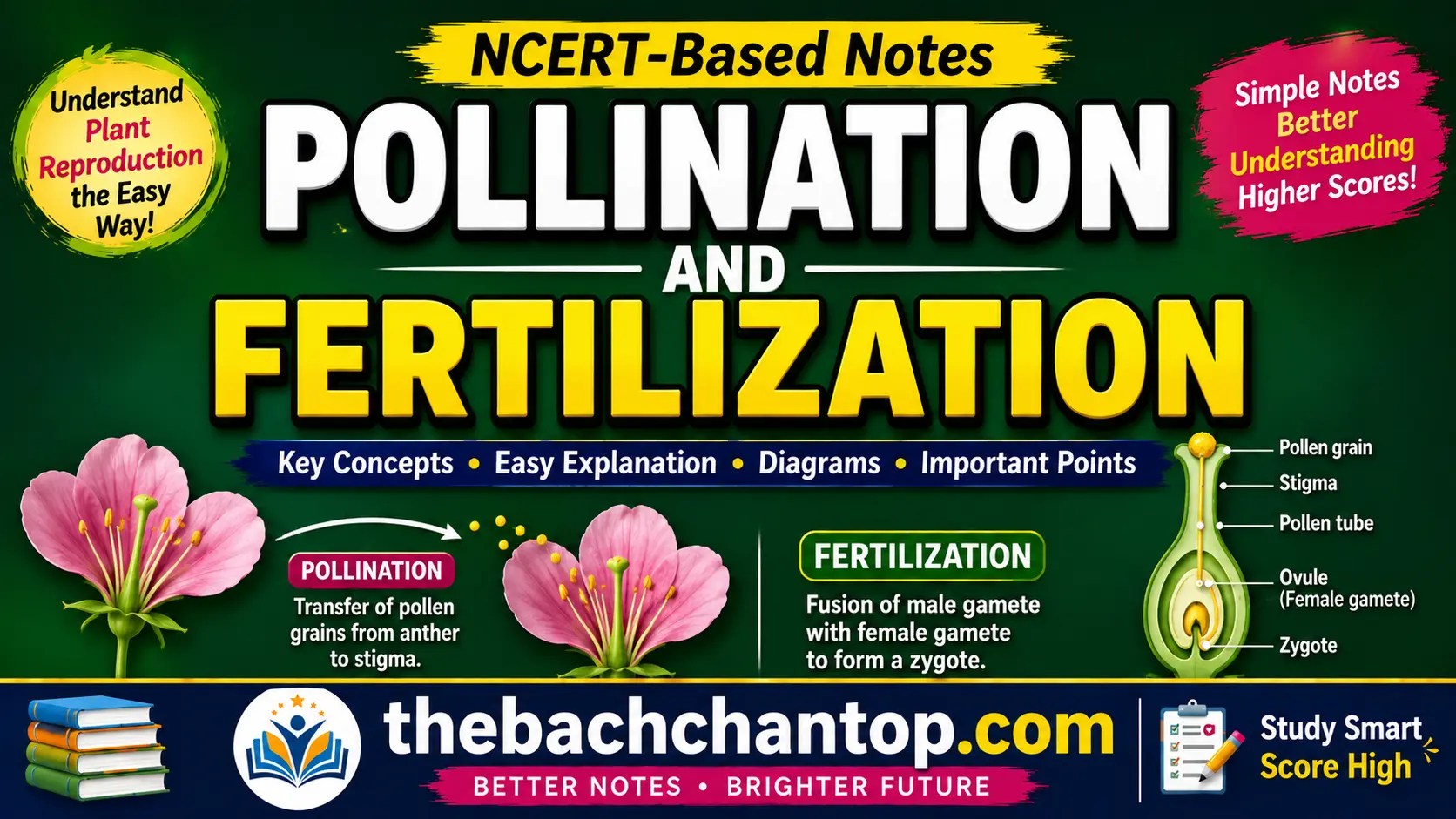 Difference Between Pollination and Fertilization (परागण और निषेचन में अंतर)