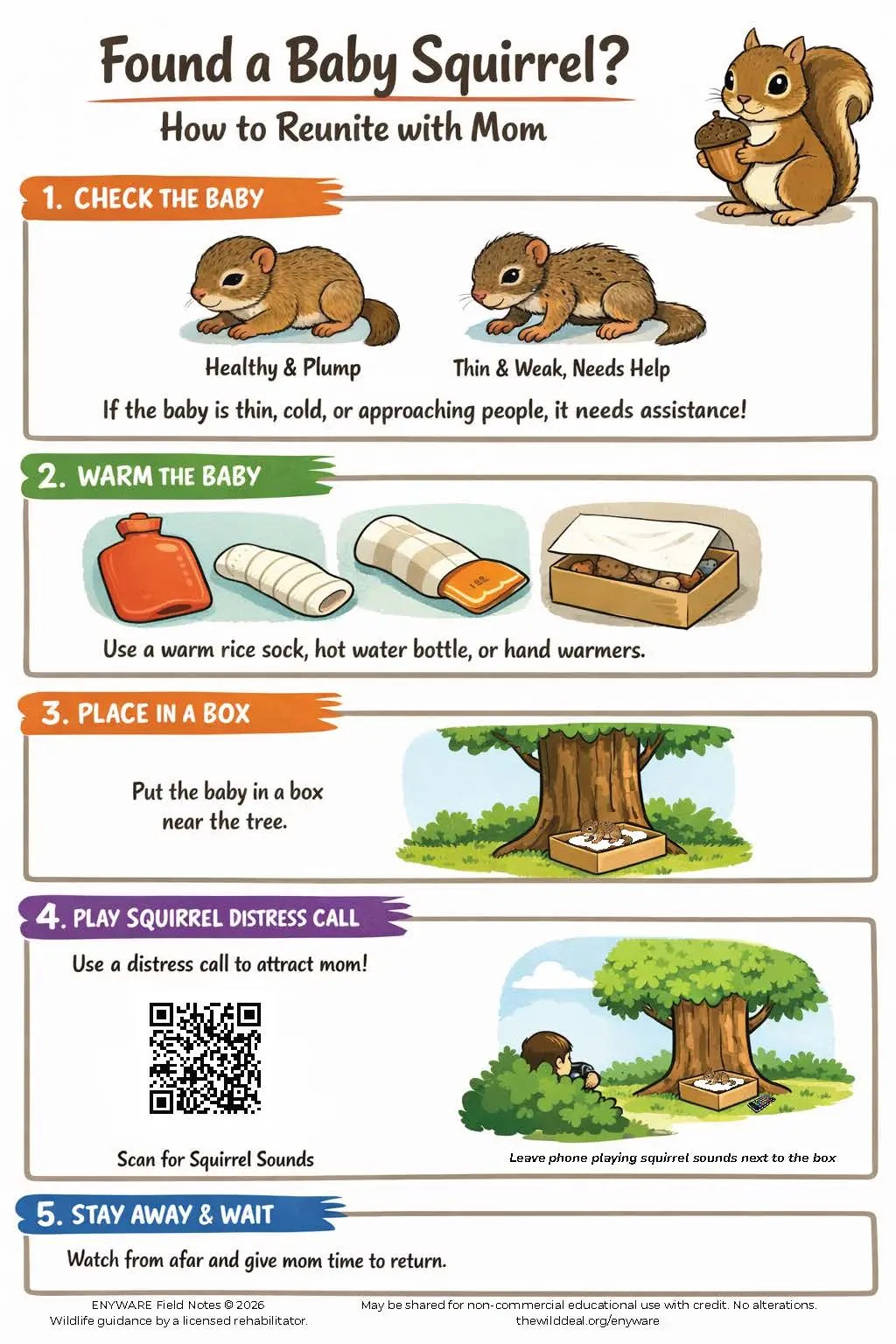 Correct Squirrel Reunit Image