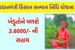 pm imresizer PM કિસાન સન્માન નિધિ યોજના PM-Kisan Samman Nidhi Yojana best 2025 – ખેડૂતો માટે માર્ગદર્શિકા