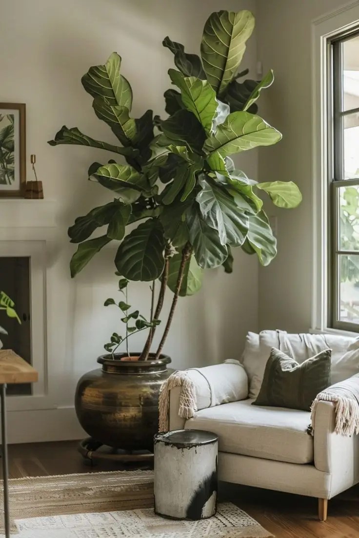 Plants