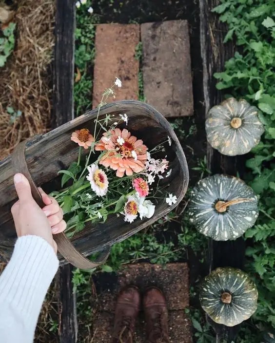 Pruning and Maintenance in Veg Garden