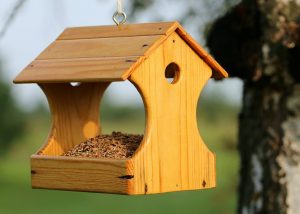 Top 10 Bird Feeder Plans The Basic Woodworking