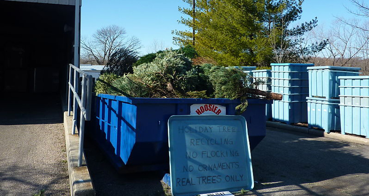 recycle-christmas-trees-in-charles-county-from-december-26-to-january-7-the-baynet