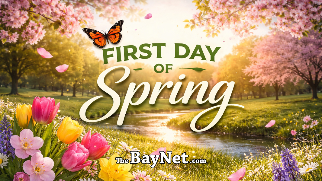 Spring Equinox Arrives Friday—Catch DC Cherry Blossoms In Real