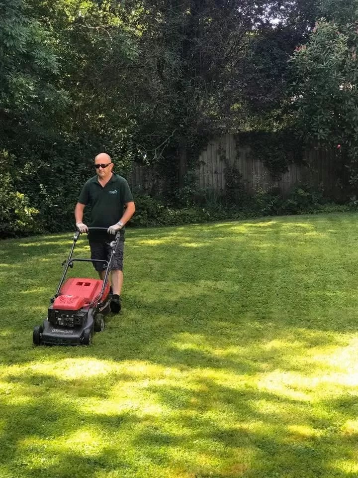 Healthy Lawn