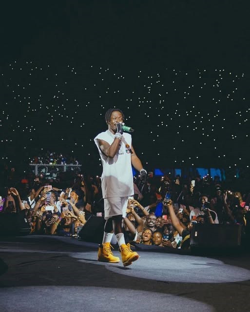 af1 mids with shorts