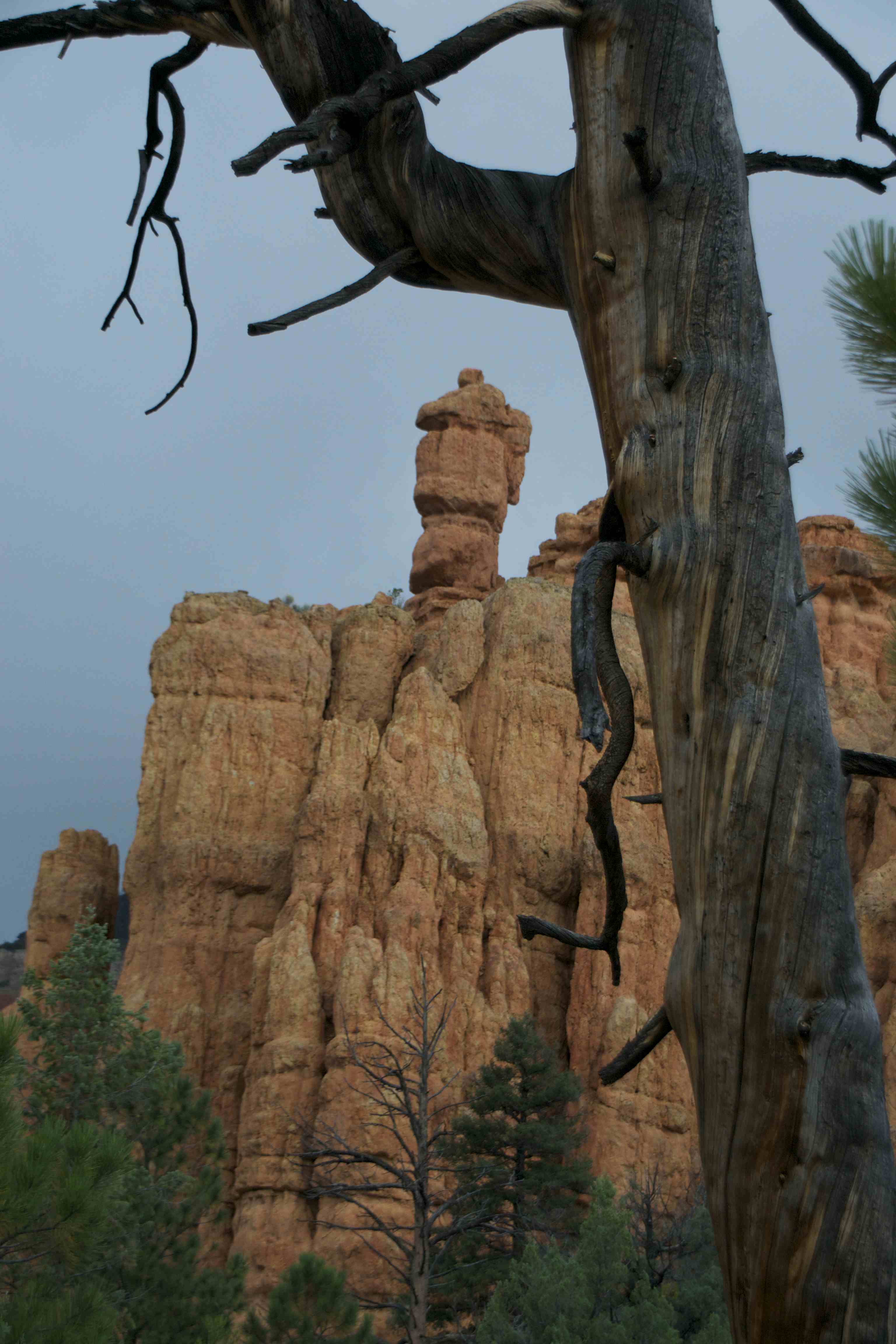 Amazing Red Canyon Philip Semanchuk