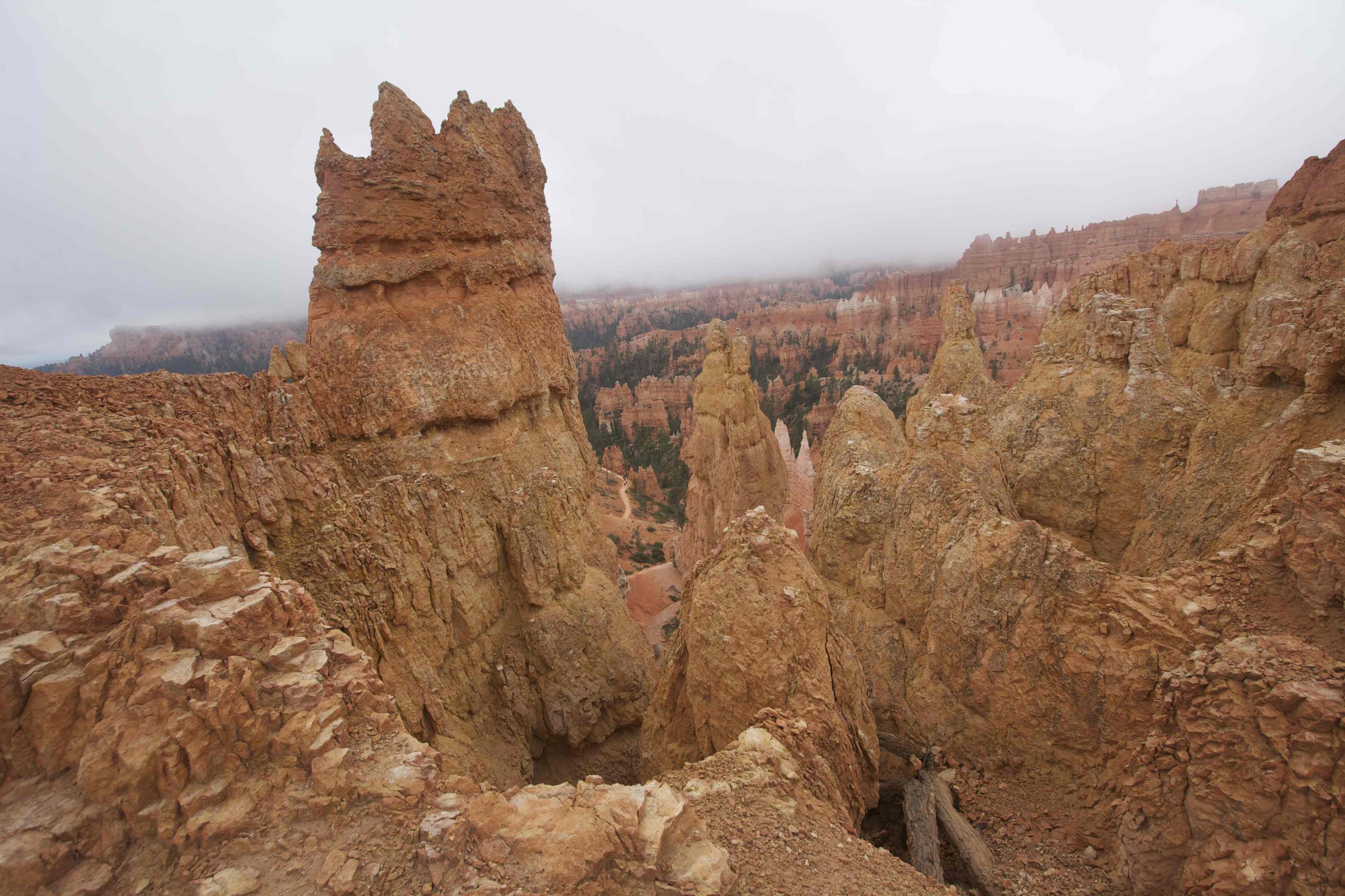 by Thorkild Christensen