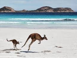 Visiting Australia for Work and Holiday