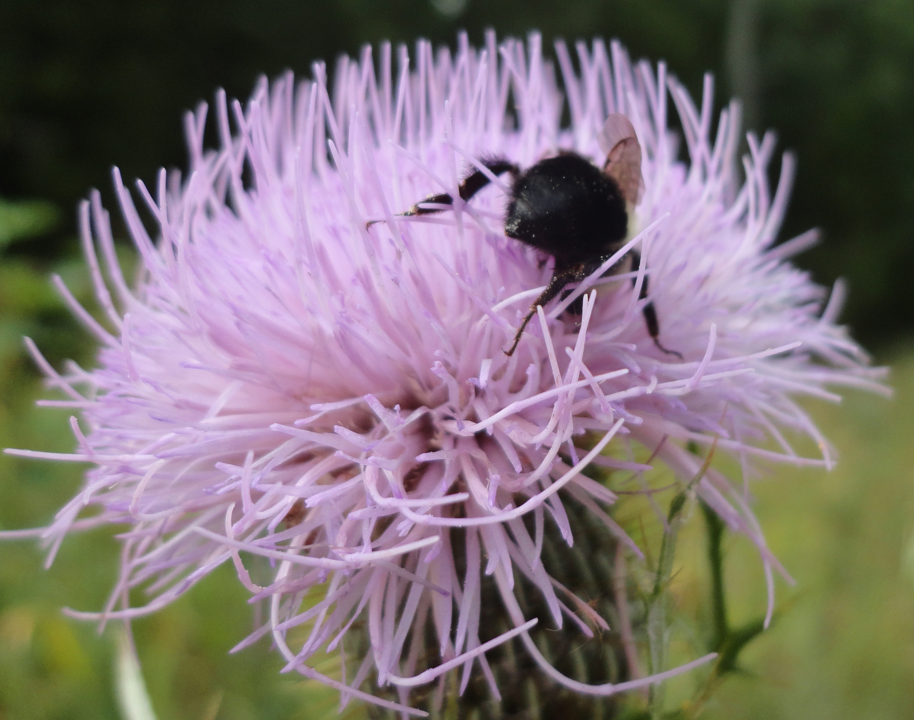 (c) 2013. Bobby James.