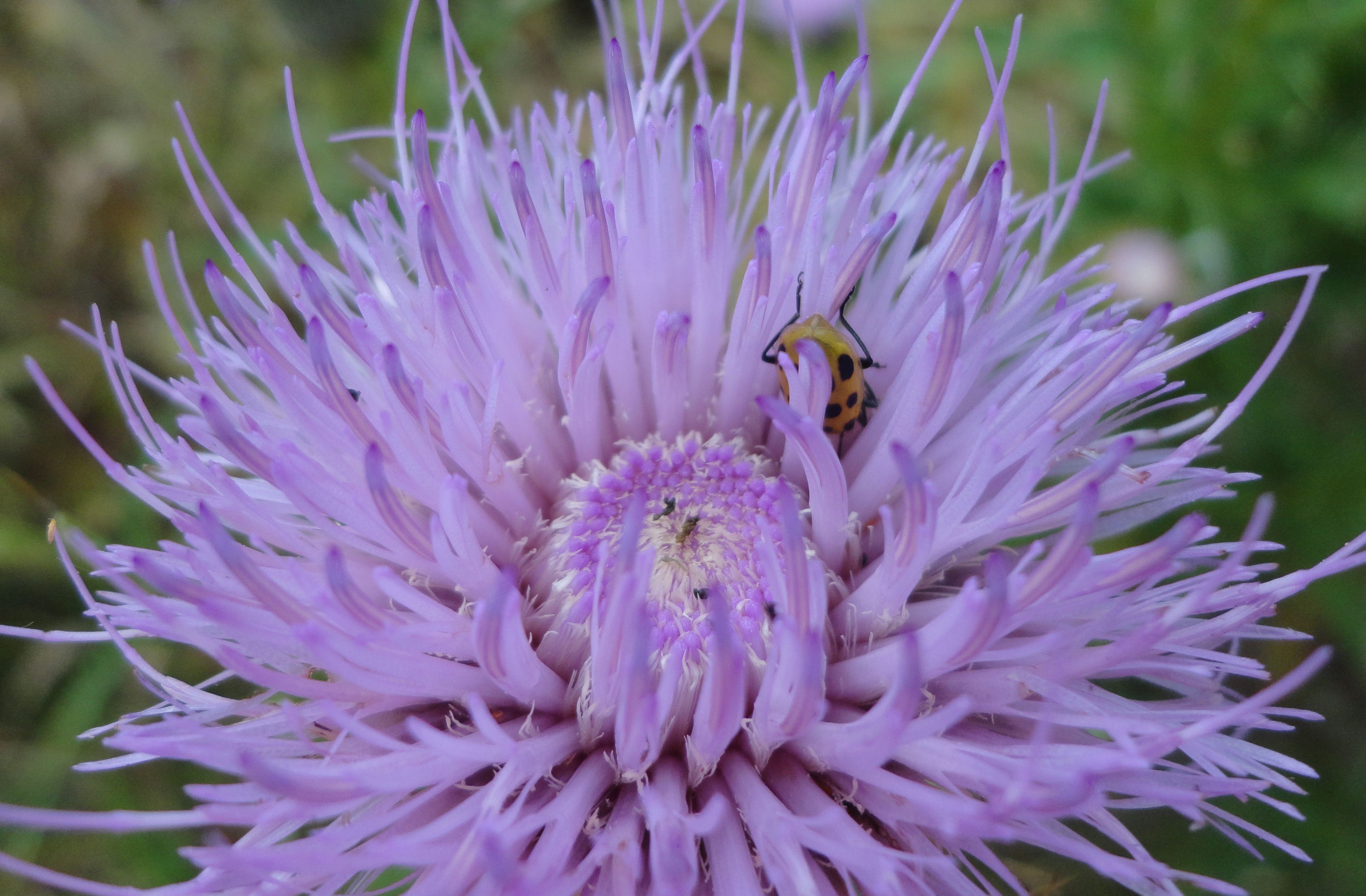 (c) 2013. Bobby James.