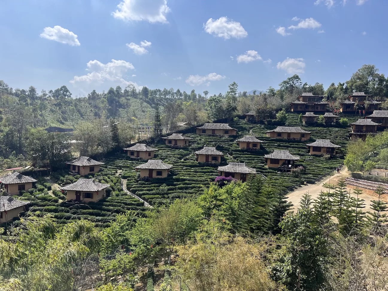 rows of small chinese-style guesthouses among terraced tea gardens at lee wine ruk thai resort in ban rak thai