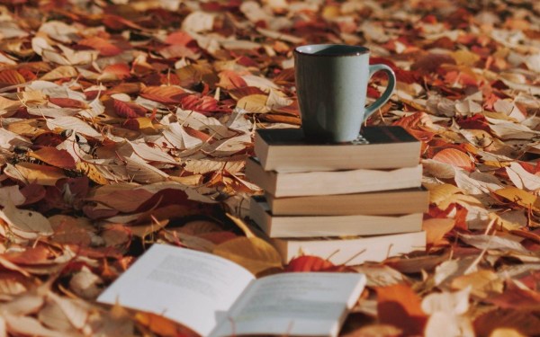 10 Cosy Autumn Romance Novels That Will Warm Your Heart