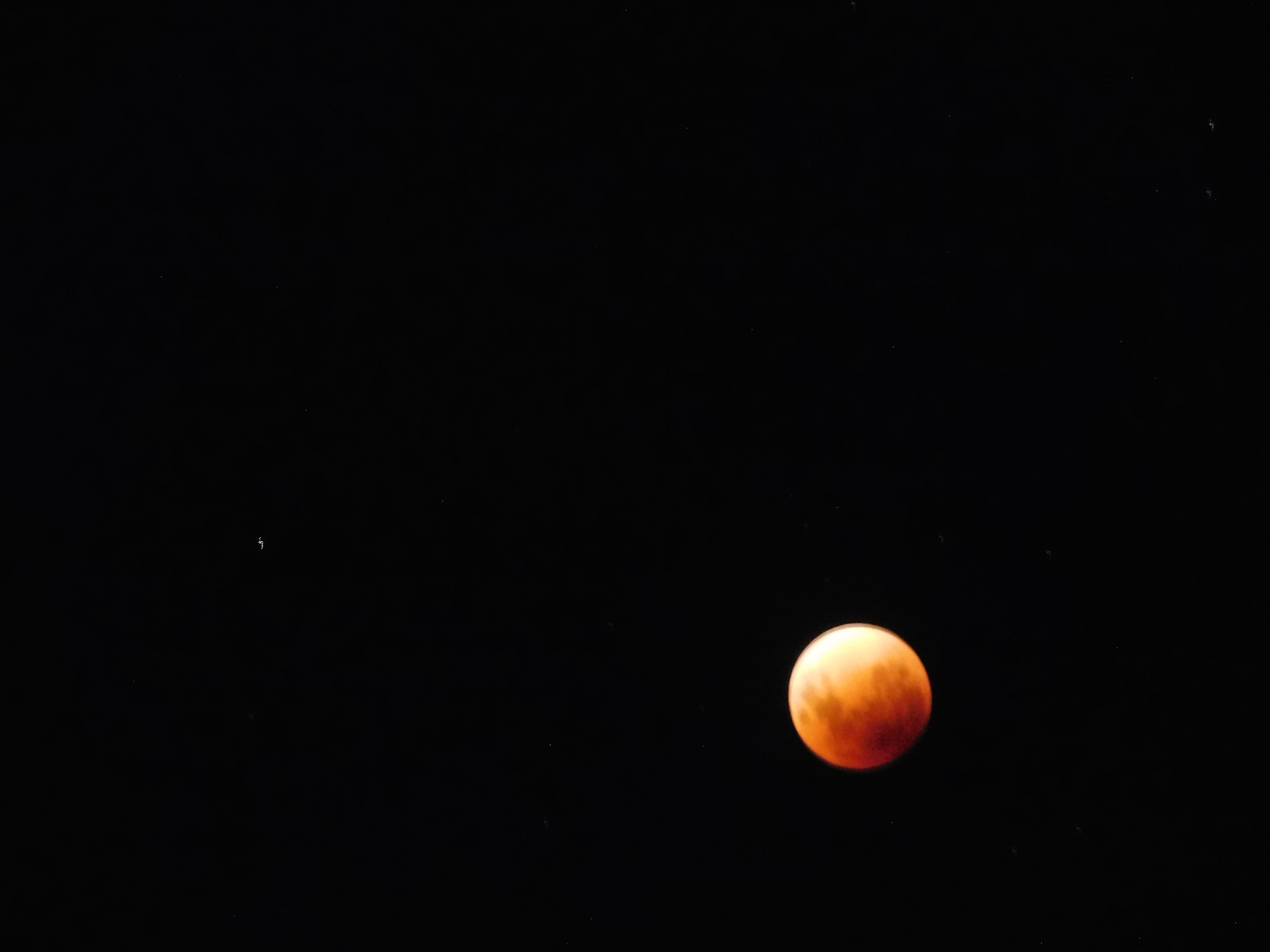 DSCN2194
