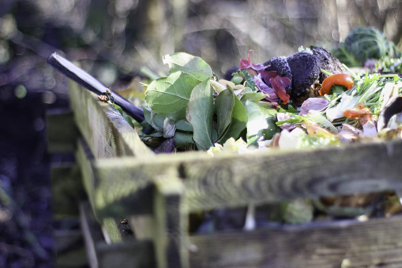 Close up image of a compost bin which has a significant number of pros compared to cons.