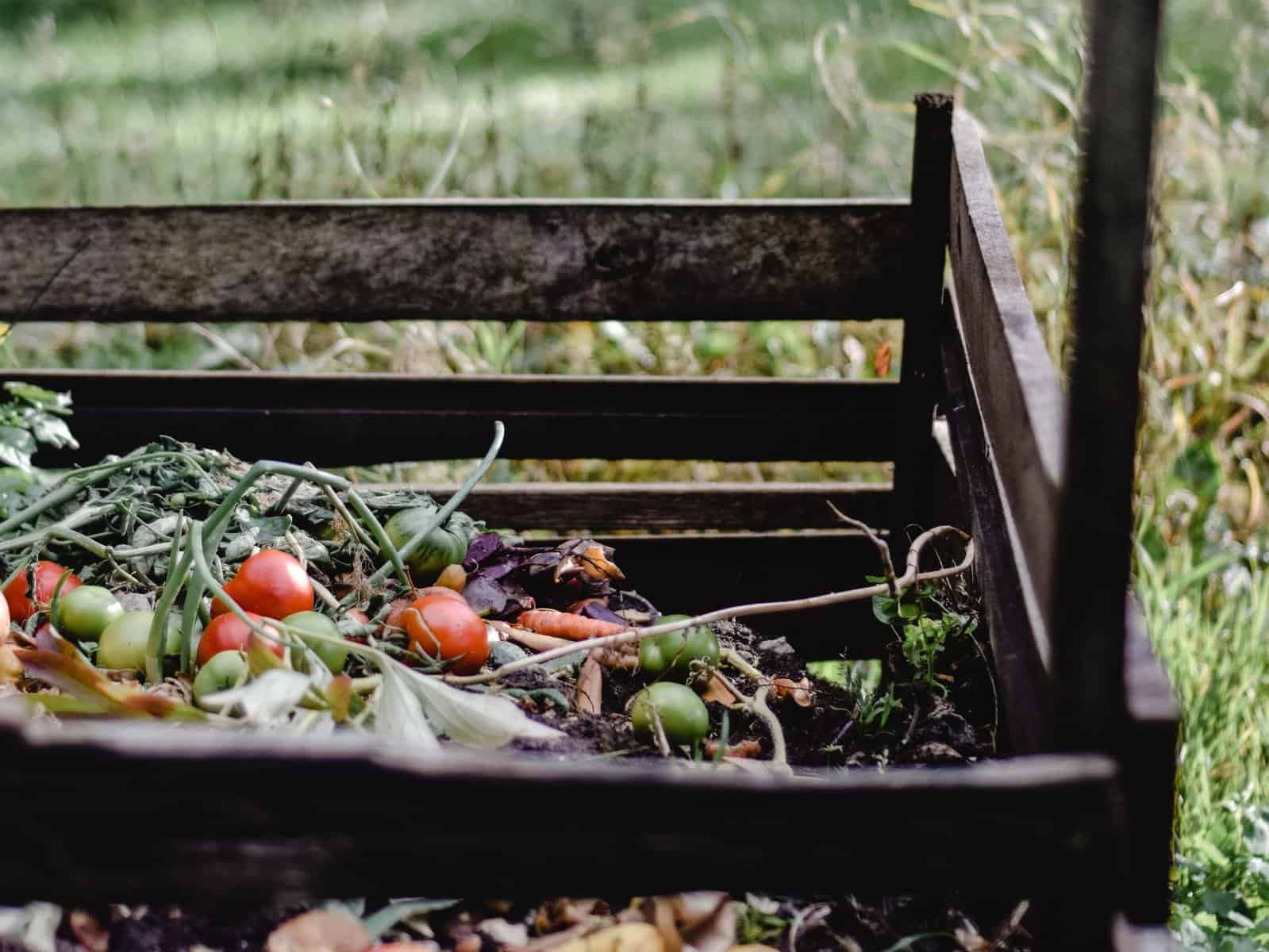Wooden compost bin outside