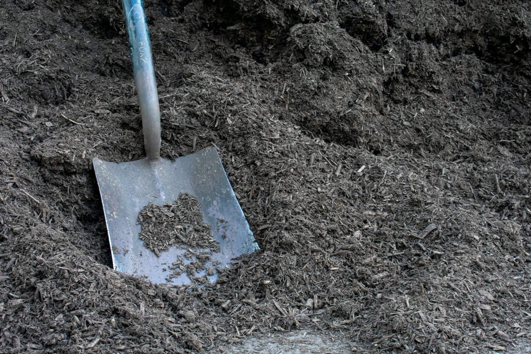 A Large Black Square Shovel Resting on a Pile of old mulch
