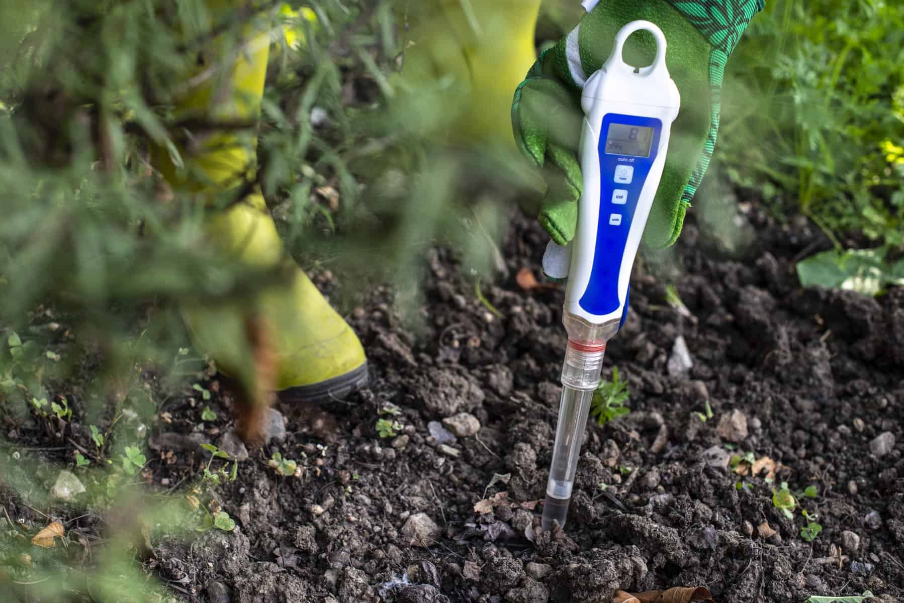 PH meter tester in garden soil testing whether it is acidic or alkaline