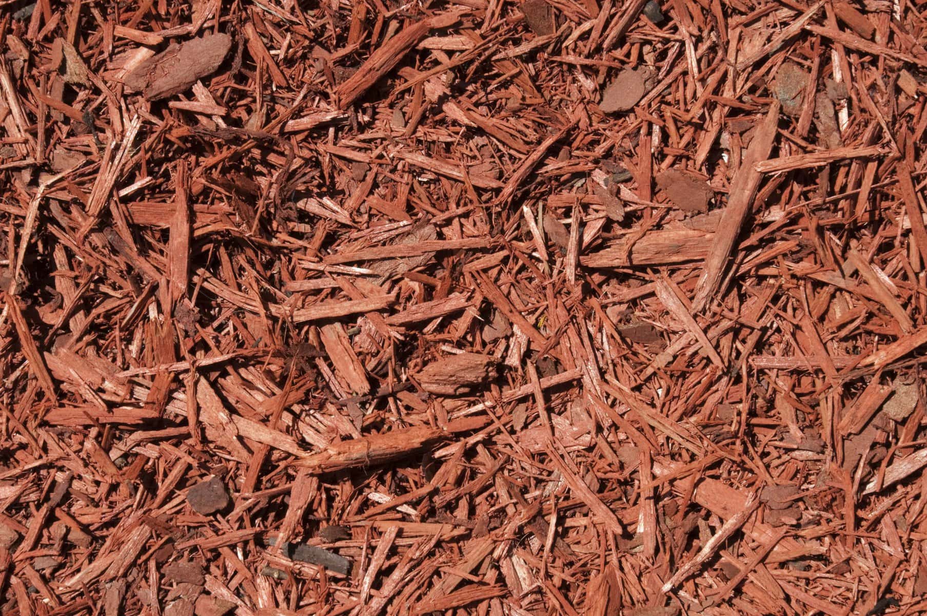 Closeup image of red cedar wood chips