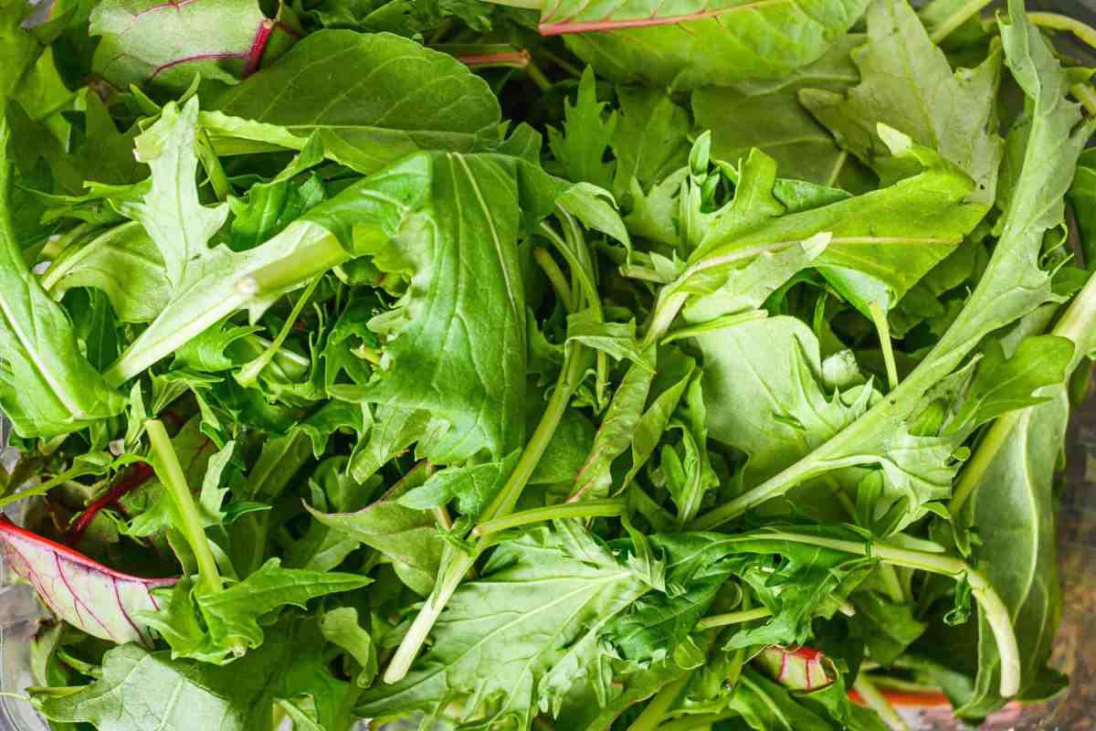 Organic asian greens salad mix in plastic container top view close up