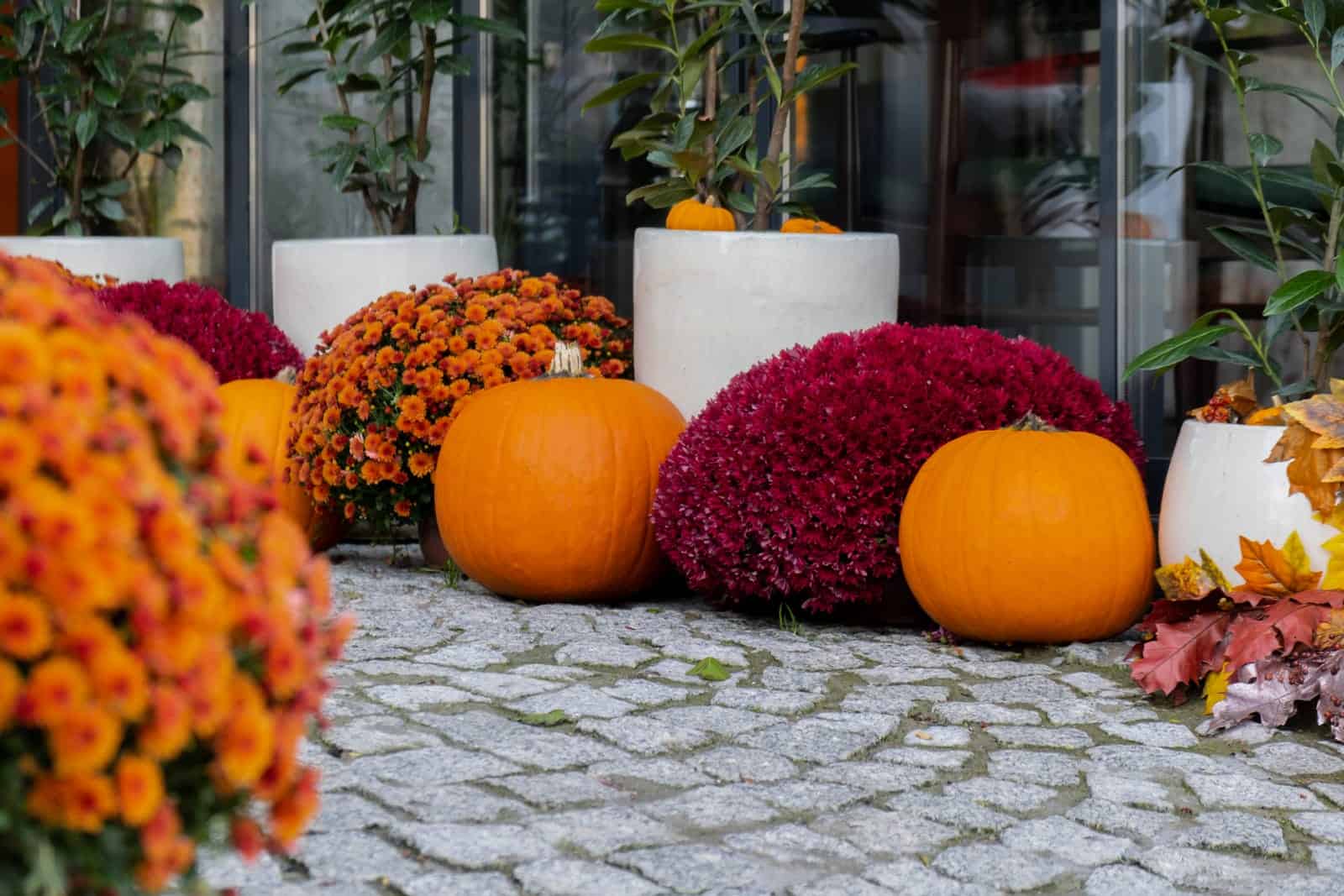 Exterior Beautiful cozy atmospheric halloween pumpkins decorated on porch. Autumn leaves and fall flowers celebration holiday Thanksgiving October season outdoors in city.