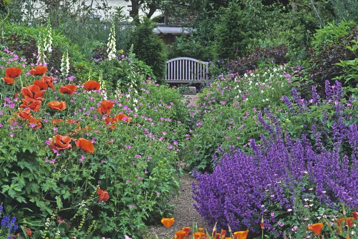 27 Proven Deer Resistant Perennials For Your Garden