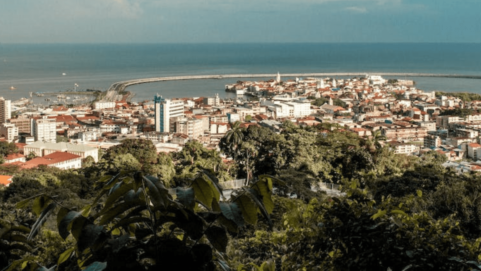 Environmental Ecosystem