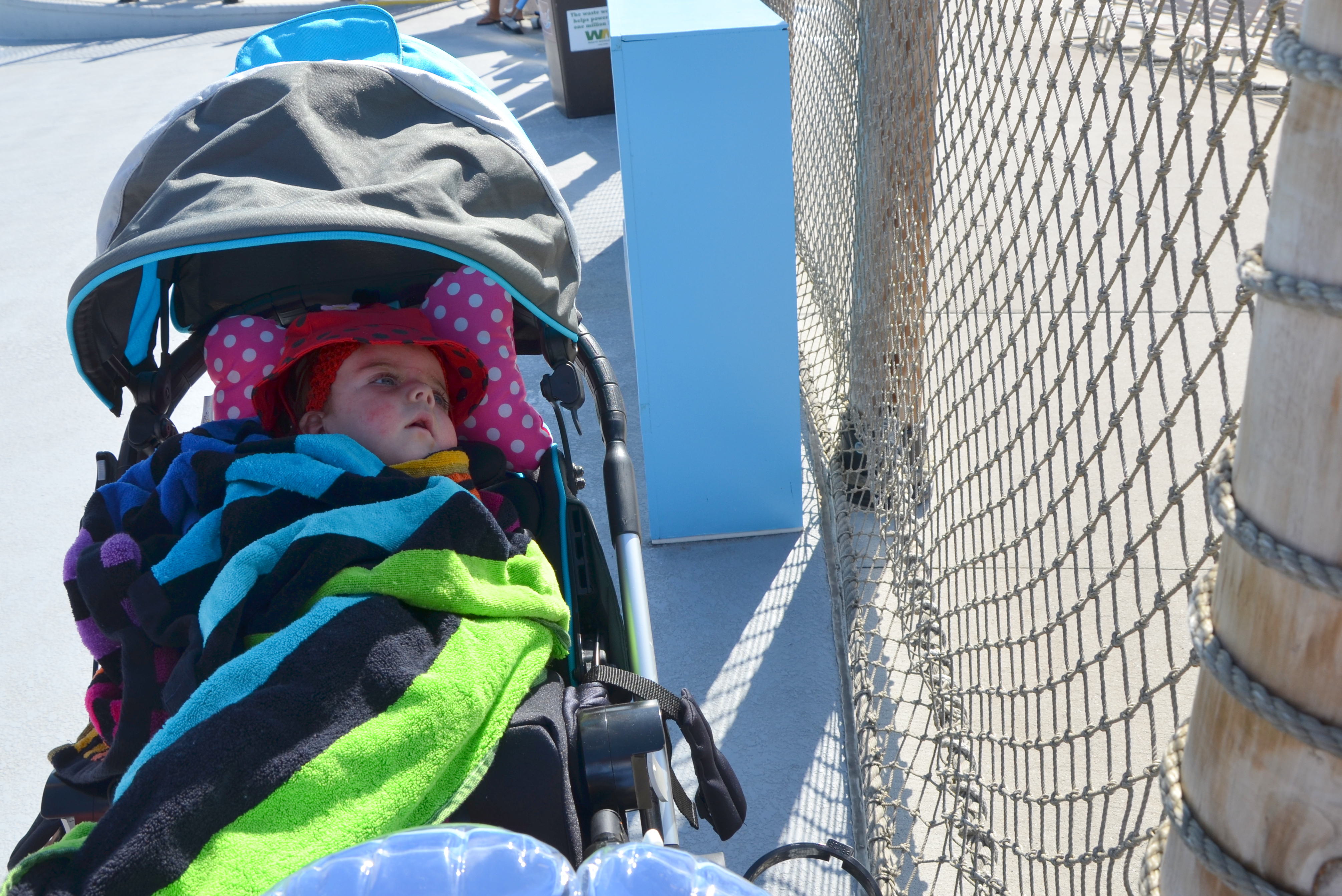 The fence was fascinating!