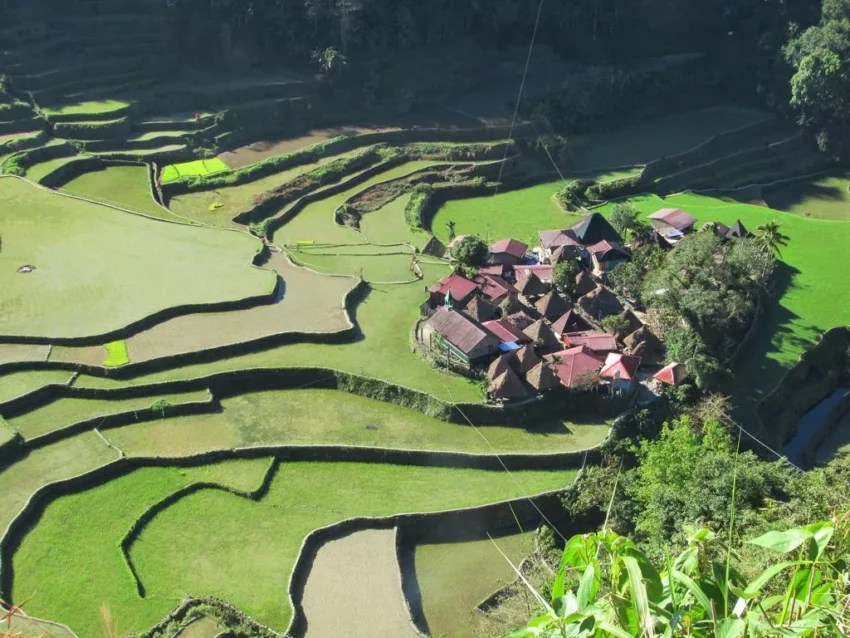 Banaue Rice Terraces Ang Brain Chamber Banaue Rice Terraces 10