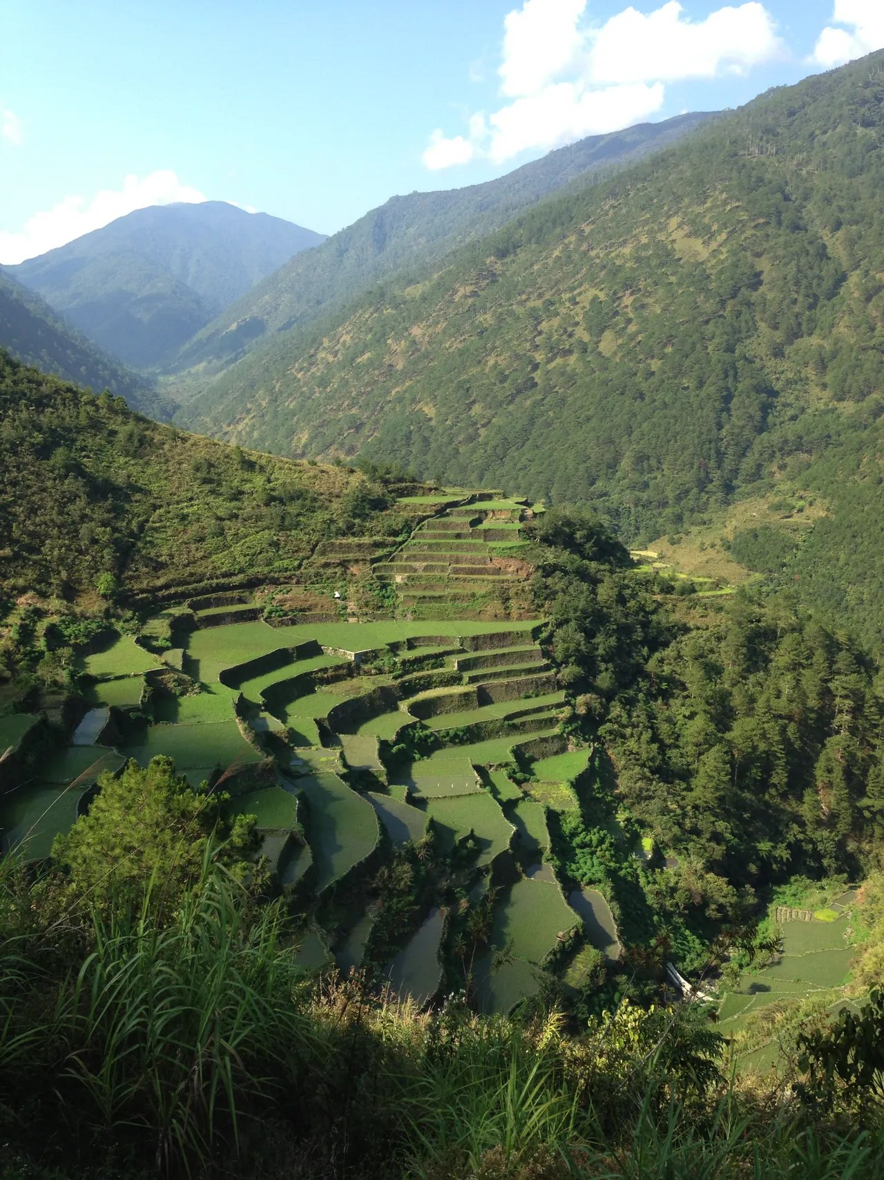 Banaue Rice Terraces Ang Brain Chamber Banaue Rice Terraces 6.webp