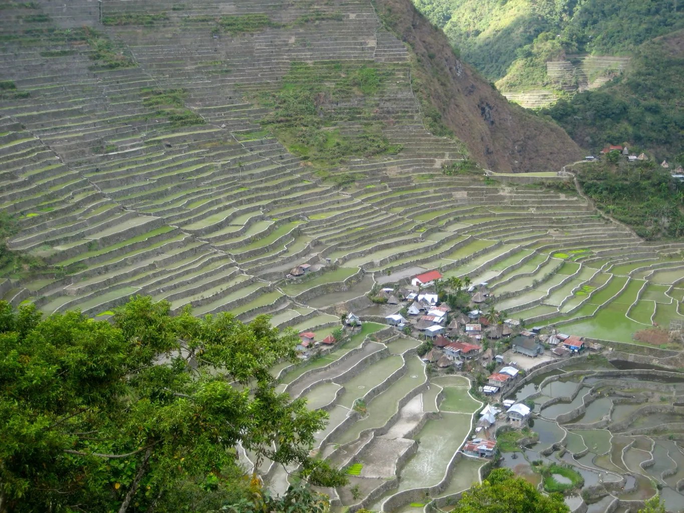 Banaue Rice Terraces The Brain Chamber Banaue Rice Terraces 9.webp