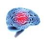 What You Should Know About Traumatic Brain Injuries (TBI) - The Brain ...