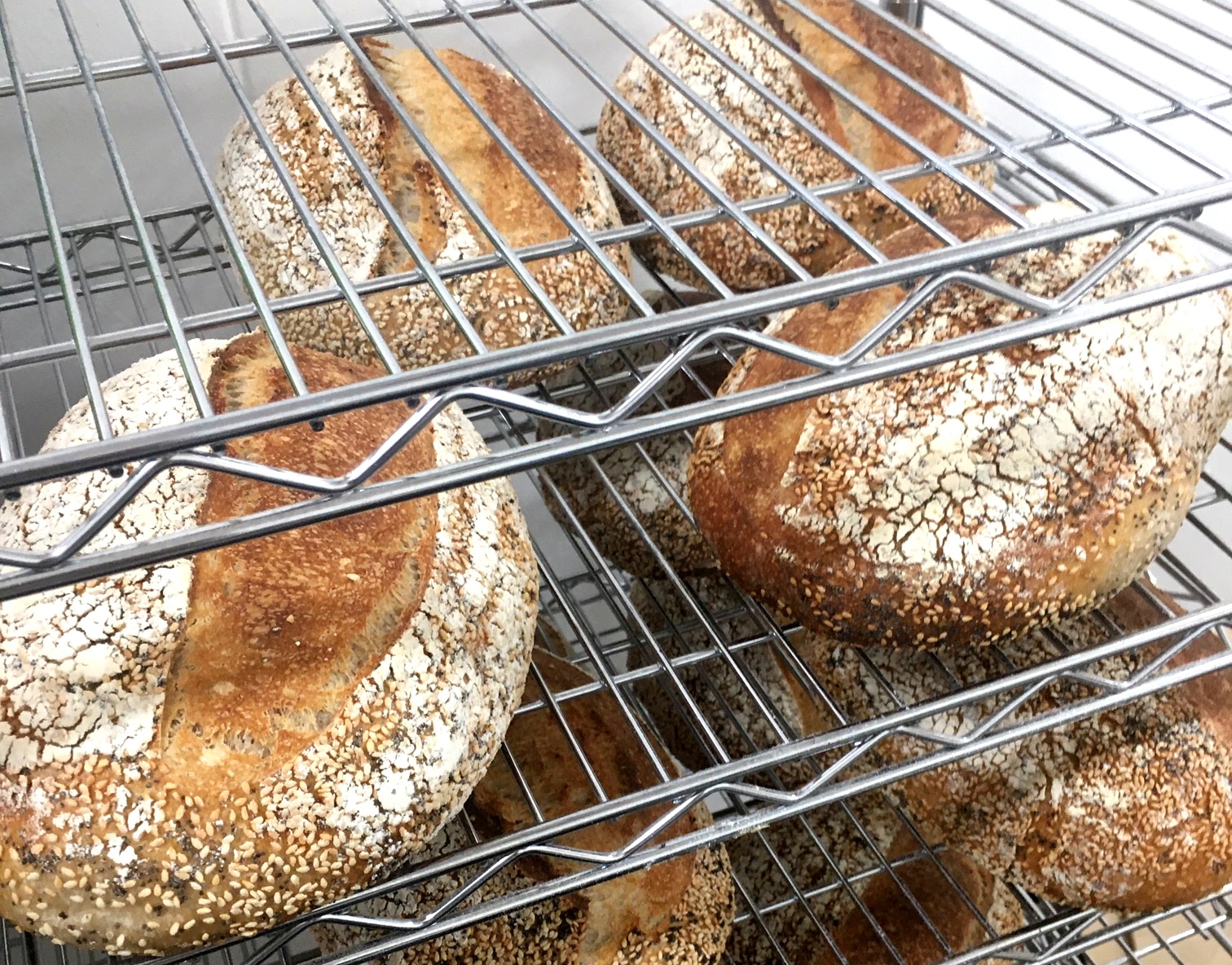 Cover Image of the Post