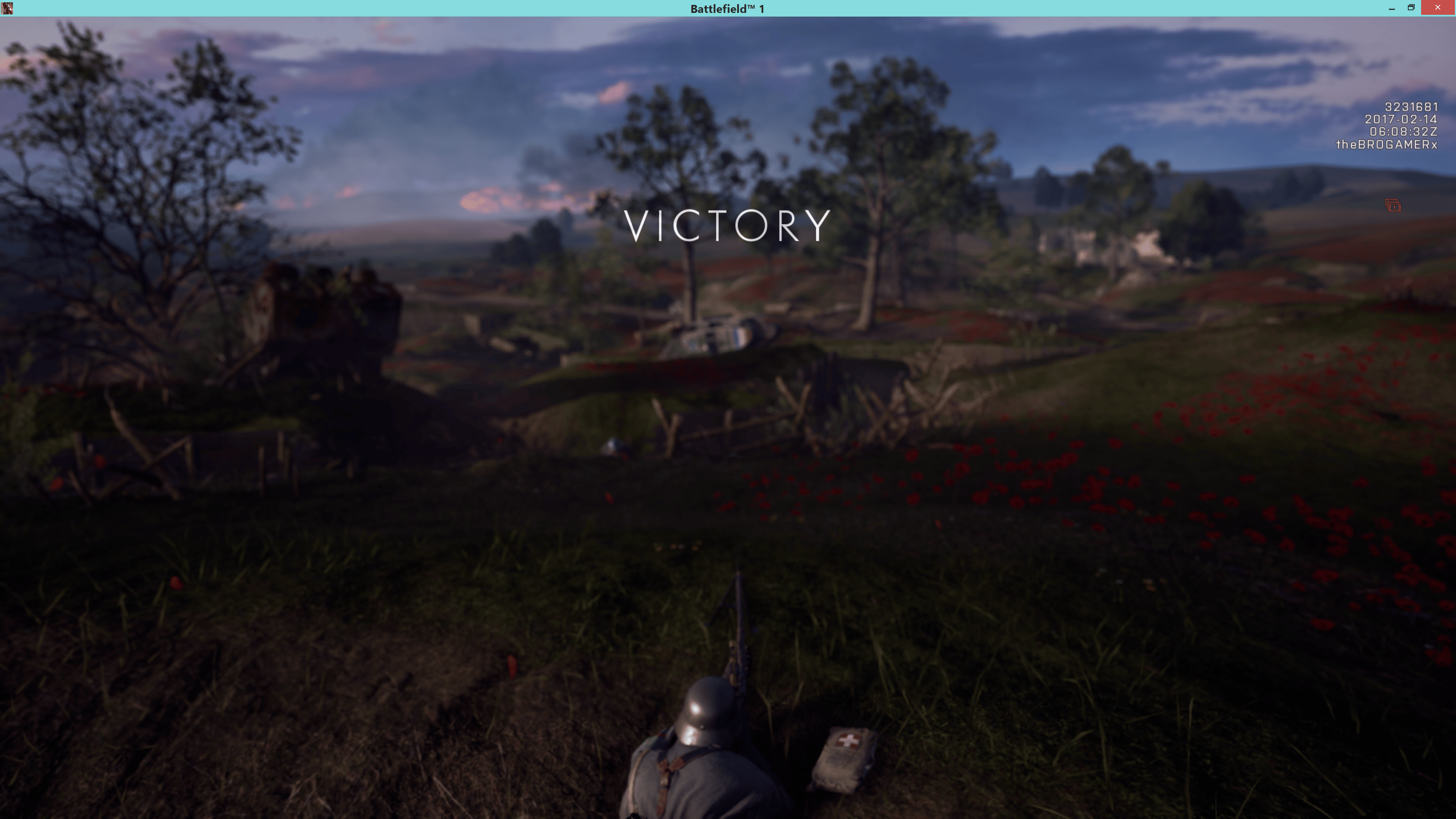 #theyshallnotpass #bf1 #battlefield1