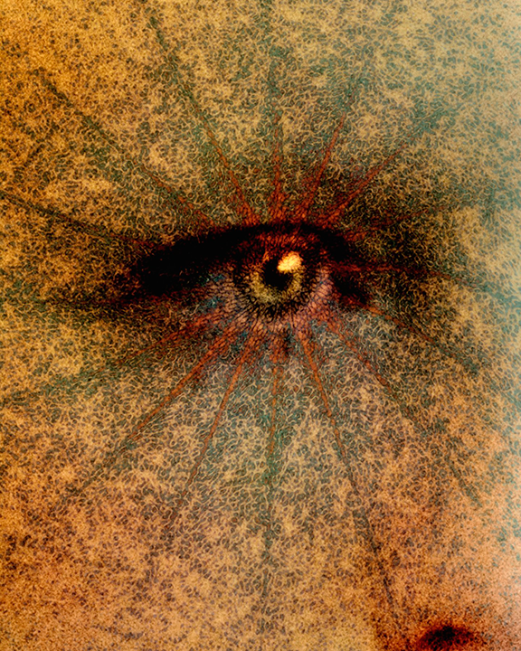 Hive Highlights: Visual Arts, Week of Jan. 13, 2025