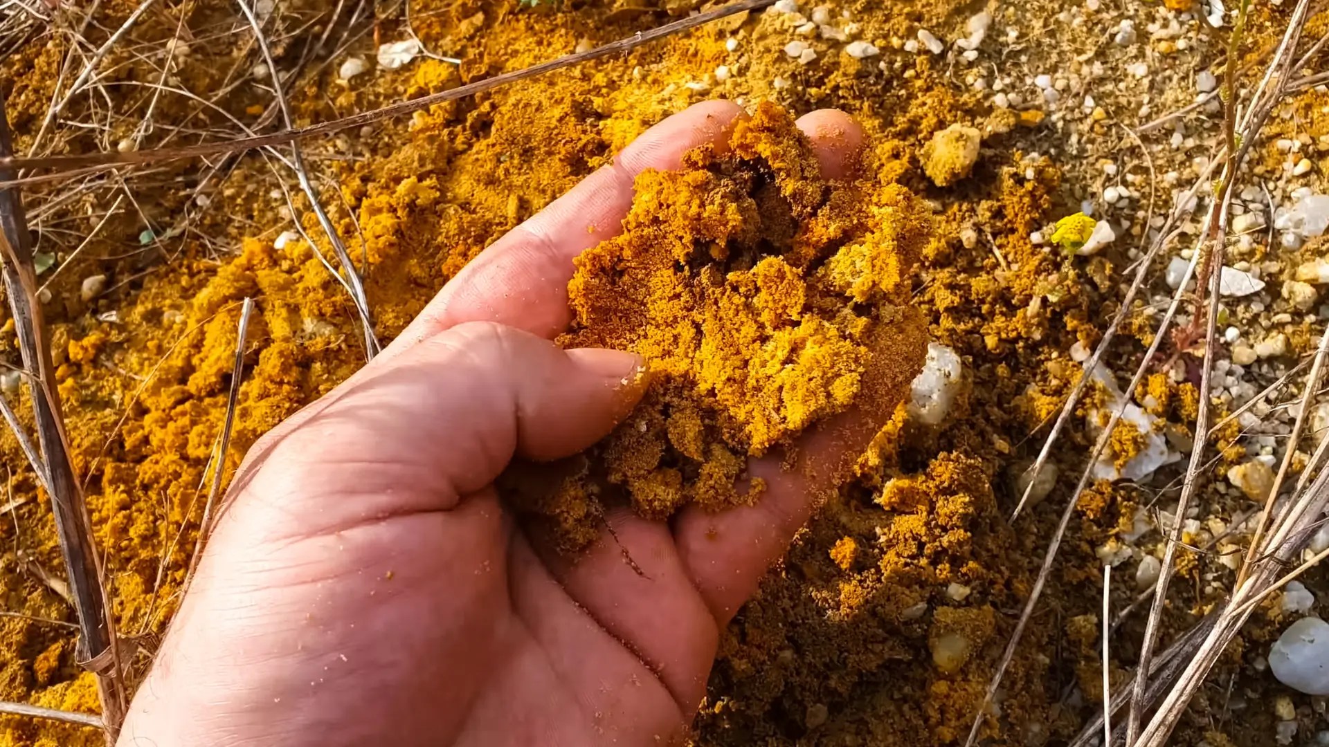 America’s $2.9 Billion Mineral Bet: Inside Perpetua’s Idaho Expansion