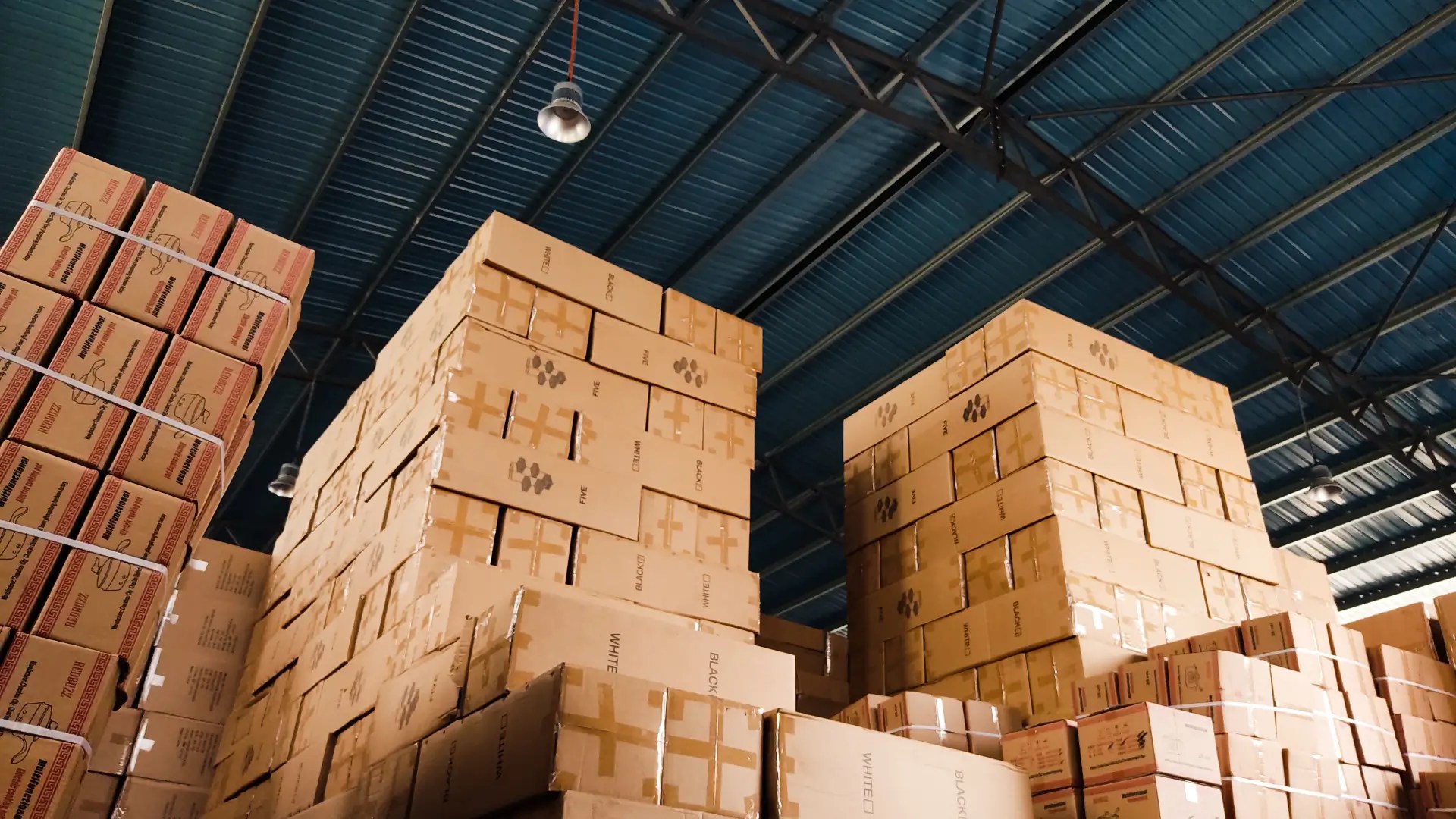 How a New Generation of Warehouse Robots is Reshaping Europe’s Logistics Future