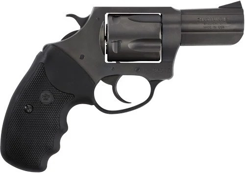 CHARTER ARMS BULLDOG 44SPL - 2.5" NITRIDE - Image 2