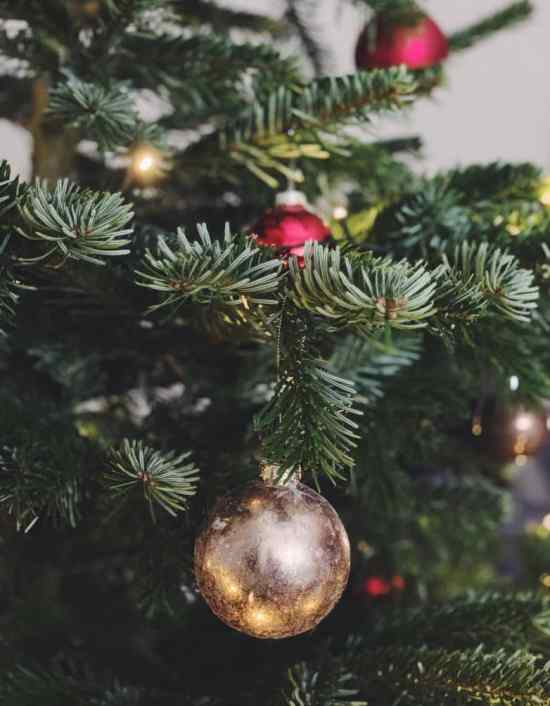 Weekly reads Dec 26 2018-min