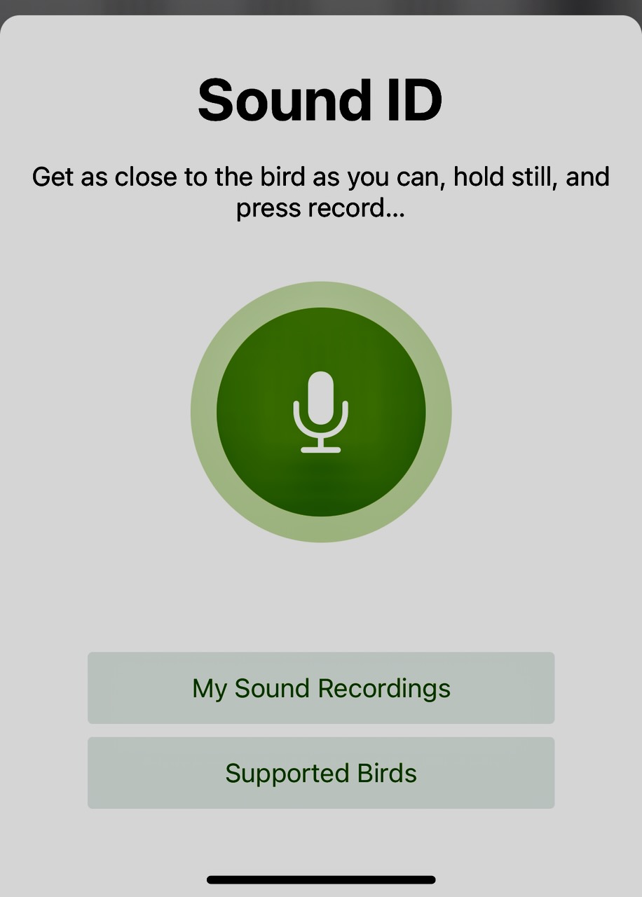 There Are More Birds In Your Backyard Than You Realize The Carey