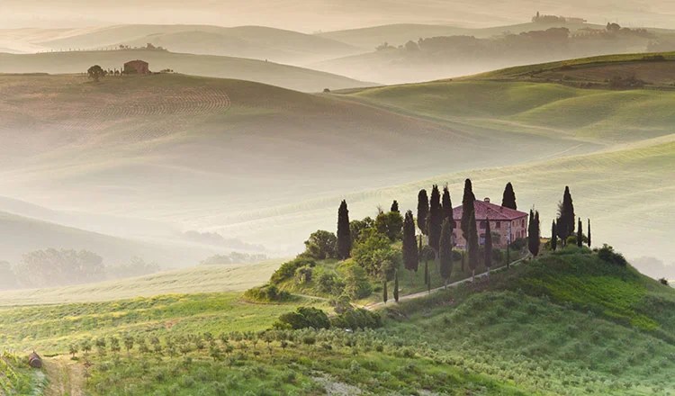 Vino Voyages: The Best Vineyards Around The World